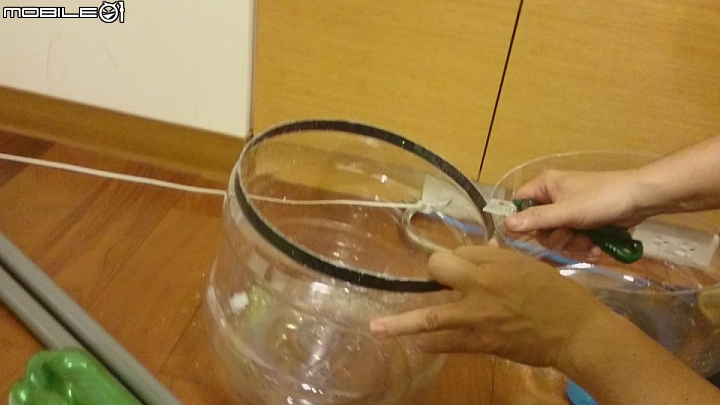 蒸餾水瓶 DIY 迷你魚菜共生系統 Mini Aquaponics