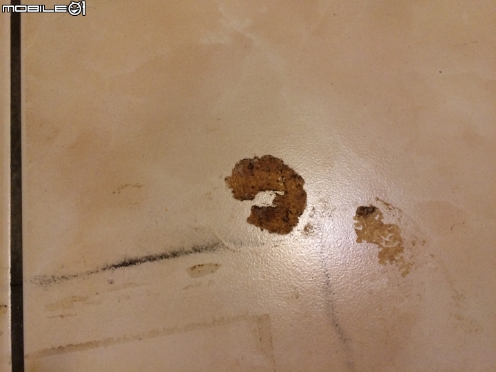 請問這種鋼釘要如何拆除，還有要如何去除這種膠(有圖)