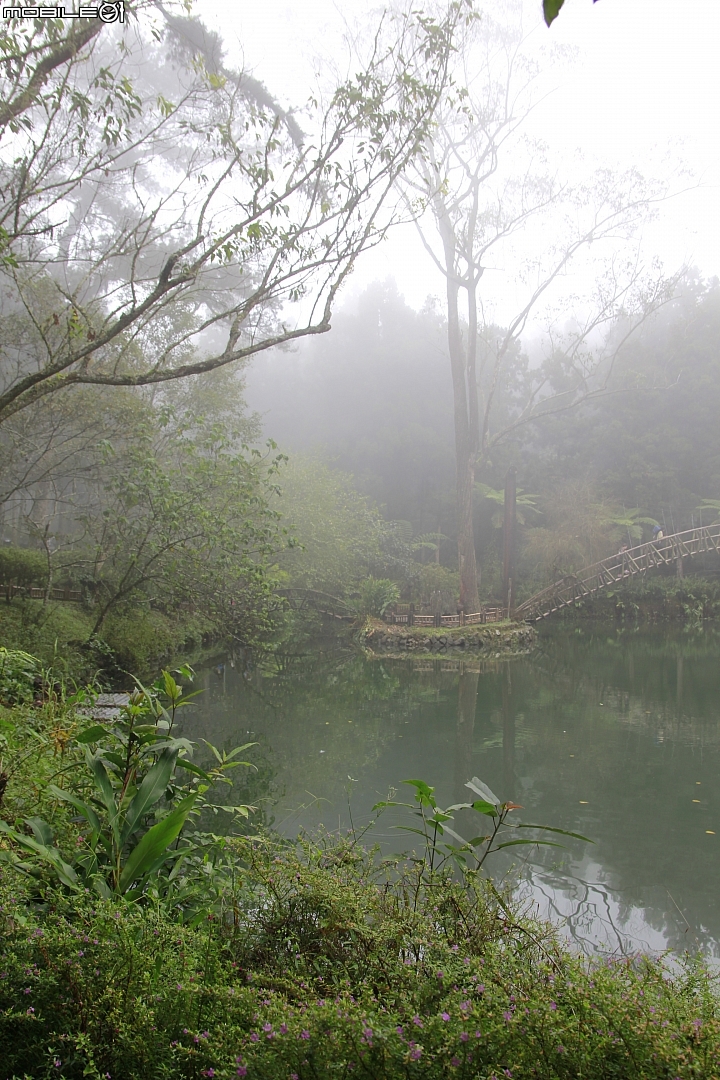 溪頭大學池全景圖   (使用PS 自動Photomerge...將五張合成一張)