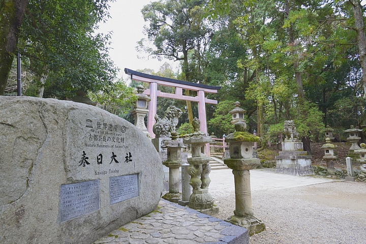 2015京阪奈之旅