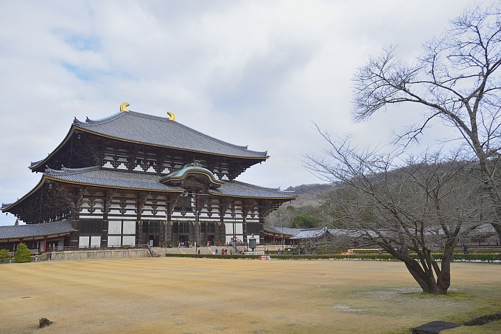 2015京阪奈之旅