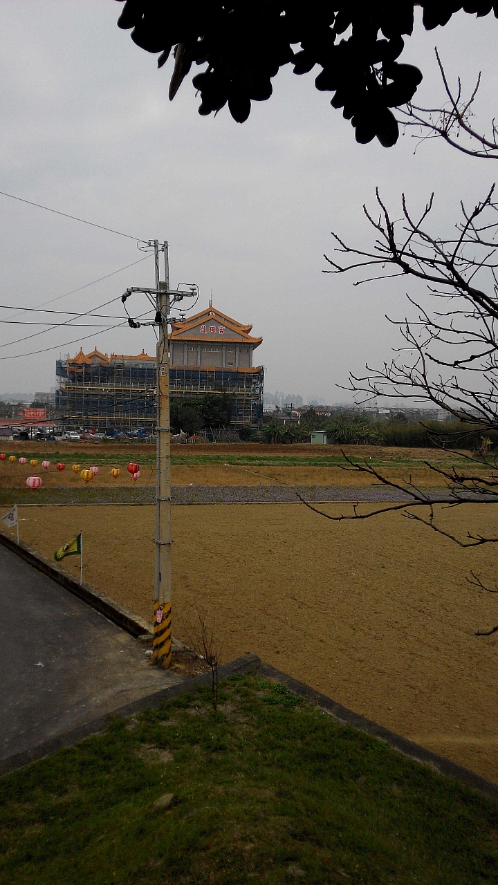 桃園 中路復育公園