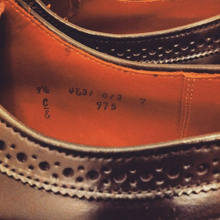 (開箱)ALDEN SHELL CORDOVAN 975 LONGWING BLUCHER