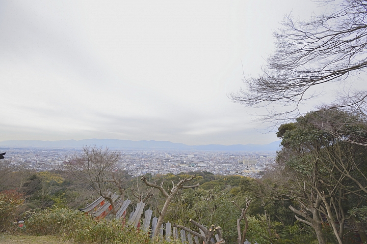 2015京阪奈之旅