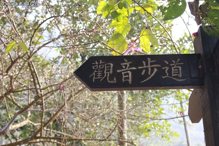 Ford好友默契出遊去-梅嶺賞梅去