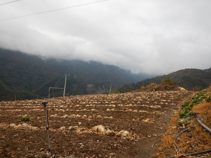 2015-01-26 西進力行產業道路
