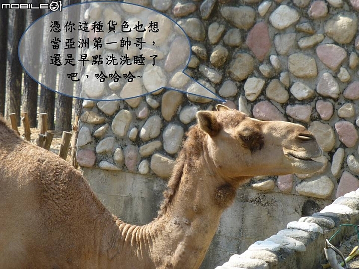 壽山動物園奇遇記