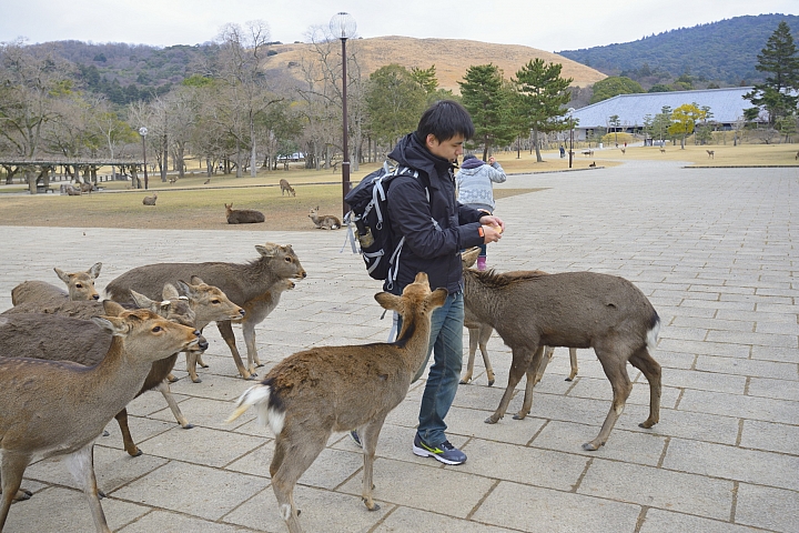 2015京阪奈之旅