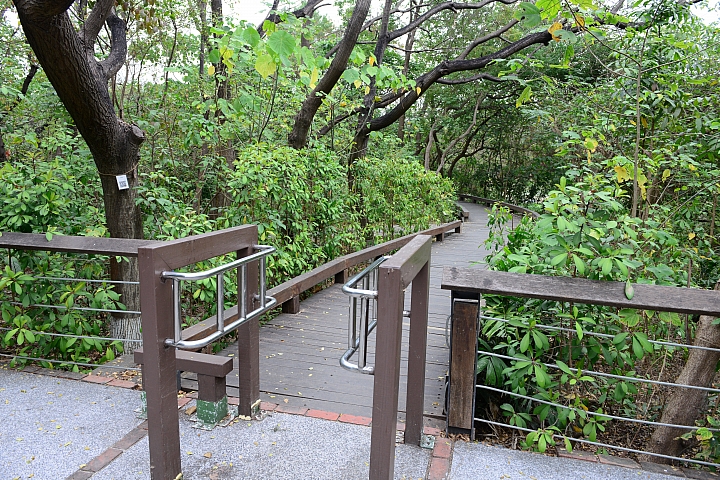 帶爸媽長庚健檢，等待時刻到旁邊鳥松濕地平靜一上午。
