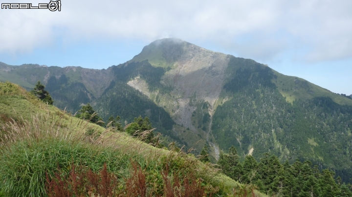 老豪邁雙載騎上合歡山武嶺!!