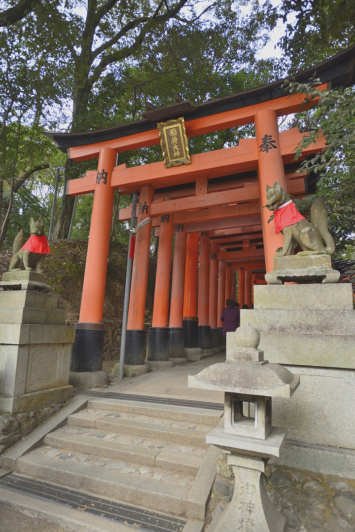 2015京阪奈之旅