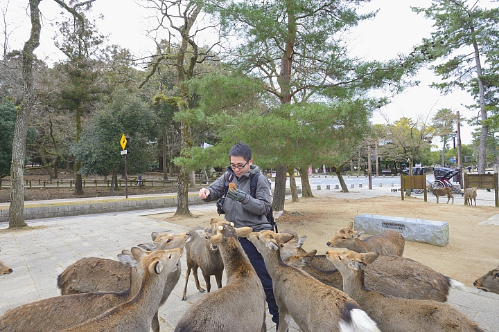 2015京阪奈之旅