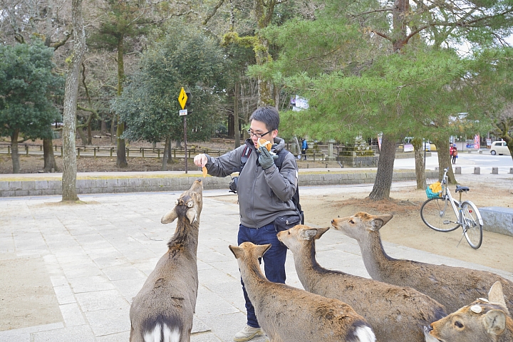 2015京阪奈之旅