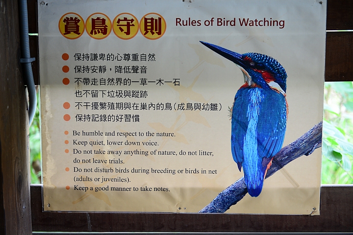 帶爸媽長庚健檢，等待時刻到旁邊鳥松濕地平靜一上午。