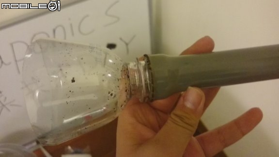 蒸餾水瓶 DIY 迷你魚菜共生系統 Mini Aquaponics