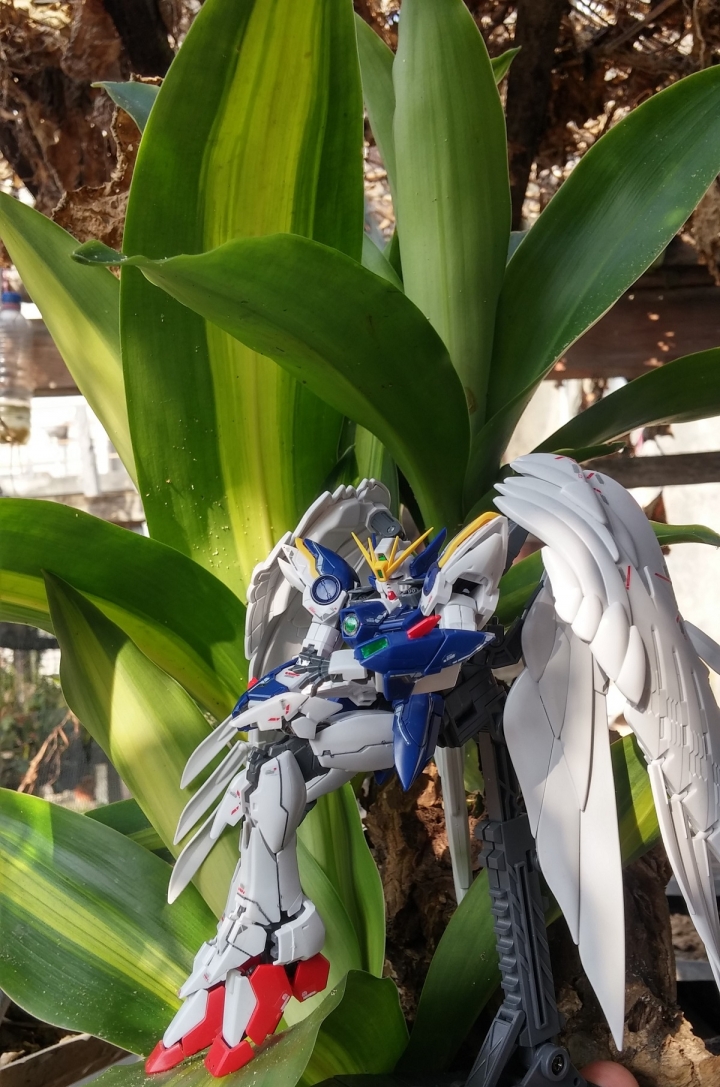 RG系列-天使鋼彈 分享
