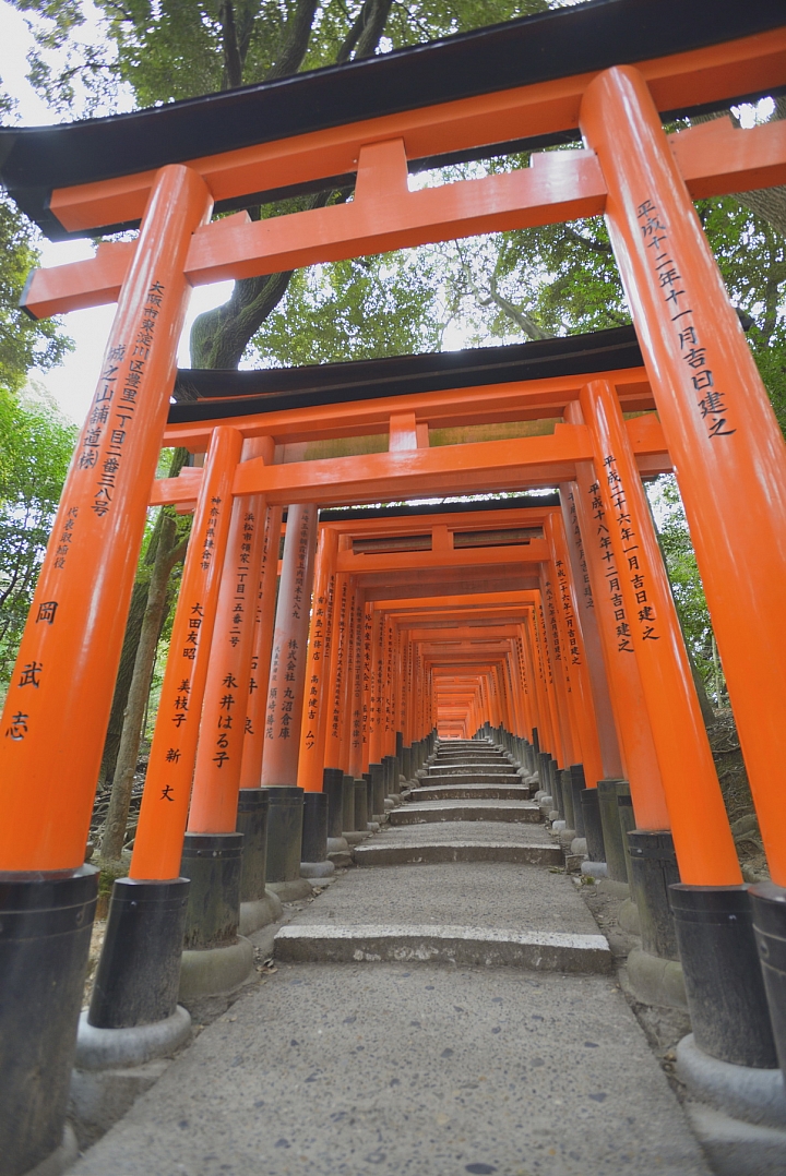 2015京阪奈之旅
