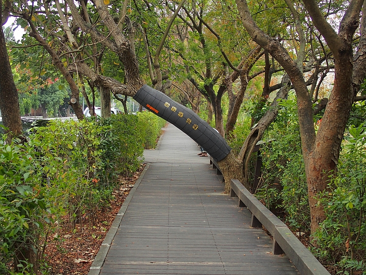 帶爸媽長庚健檢，等待時刻到旁邊鳥松濕地平靜一上午。