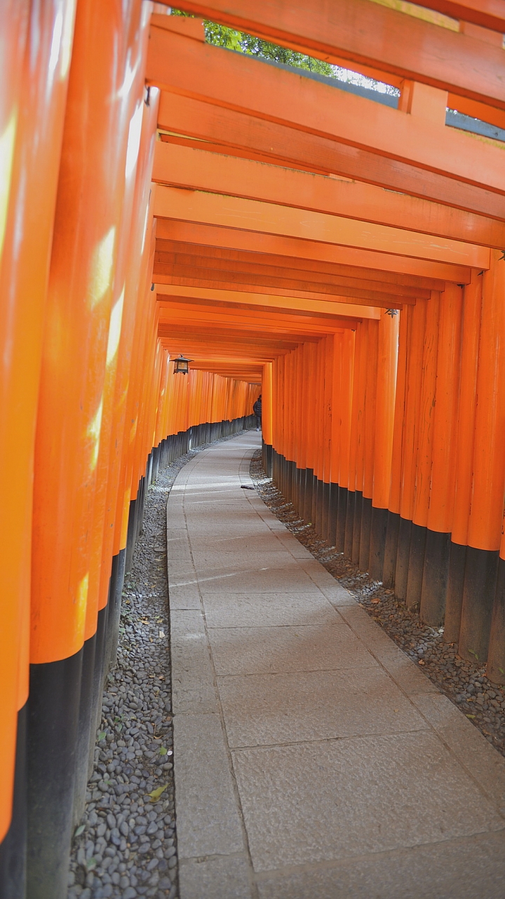 2015京阪奈之旅