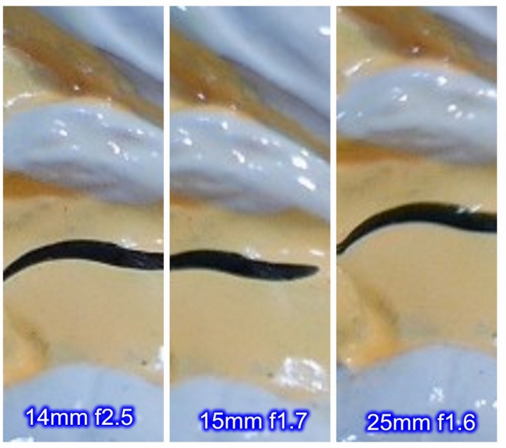 14mm vs 15mm vs 25mm 隨拍PK