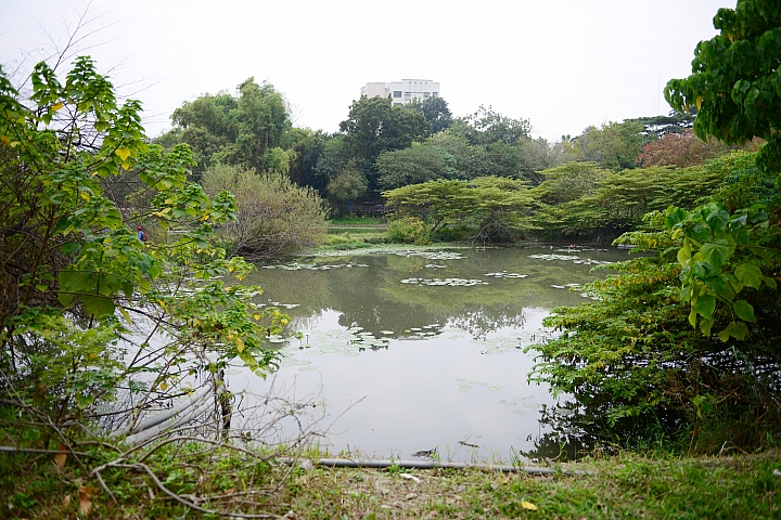 帶爸媽長庚健檢，等待時刻到旁邊鳥松濕地平靜一上午。
