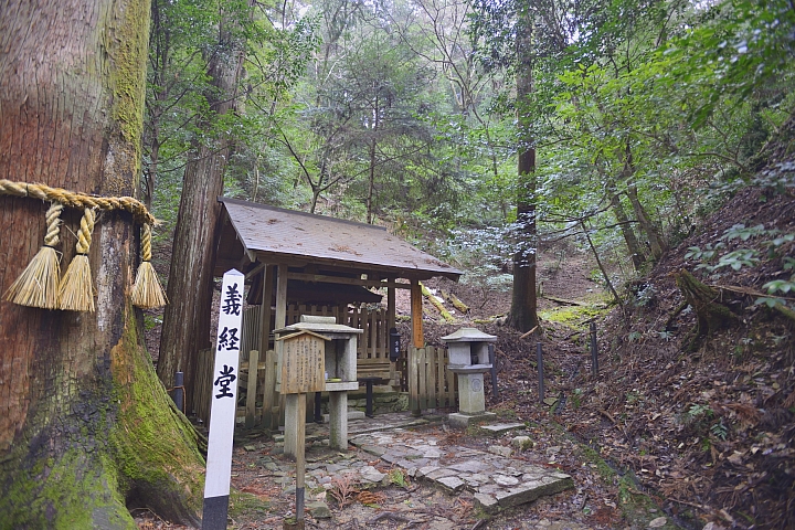 2015京阪奈之旅