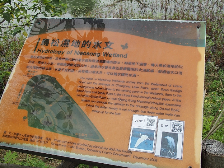 帶爸媽長庚健檢，等待時刻到旁邊鳥松濕地平靜一上午。