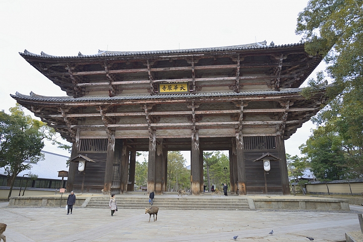 2015京阪奈之旅