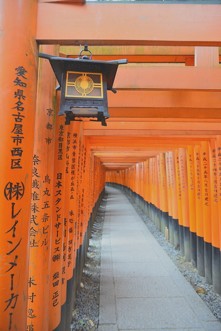 2015京阪奈之旅