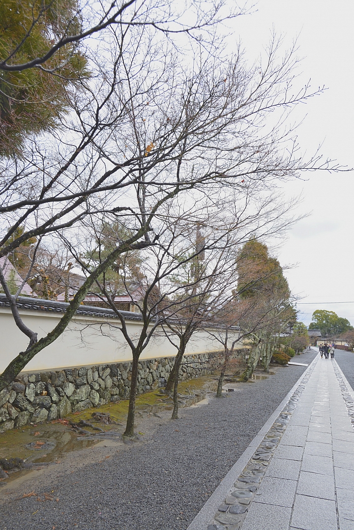 2015京阪奈之旅
