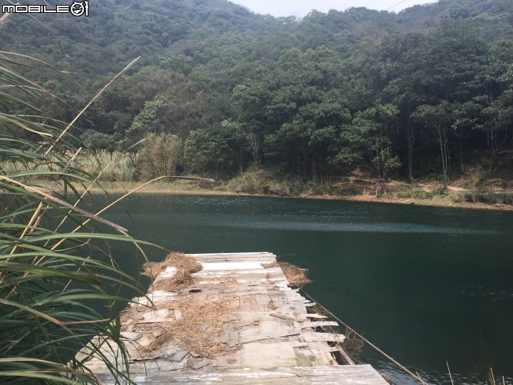 蠢蠢的誤登了新山⋯⋯
