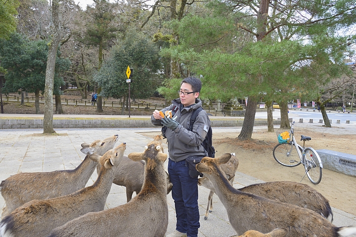 2015京阪奈之旅
