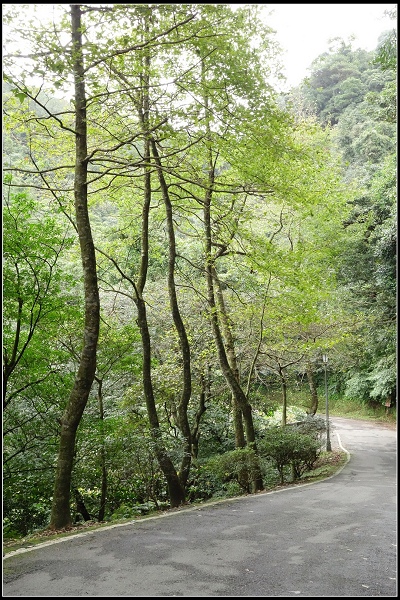 2014.12.17【單車遊記】尋找楓紅之旅