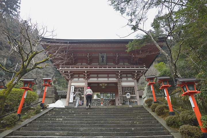 2015京阪奈之旅