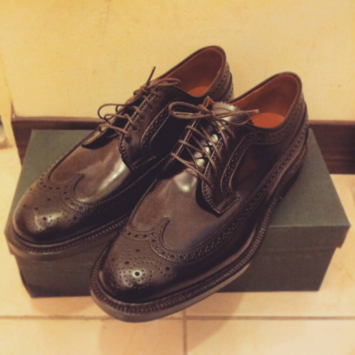 (開箱)ALDEN SHELL CORDOVAN 975 LONGWING BLUCHER