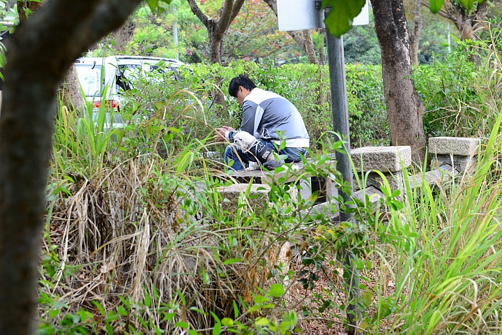 帶爸媽長庚健檢，等待時刻到旁邊鳥松濕地平靜一上午。