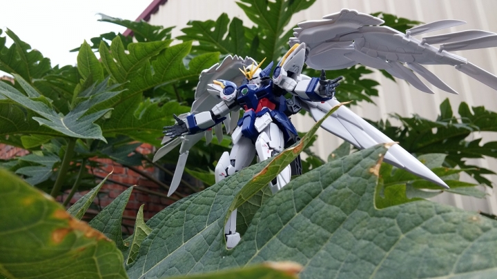 RG系列-天使鋼彈 分享