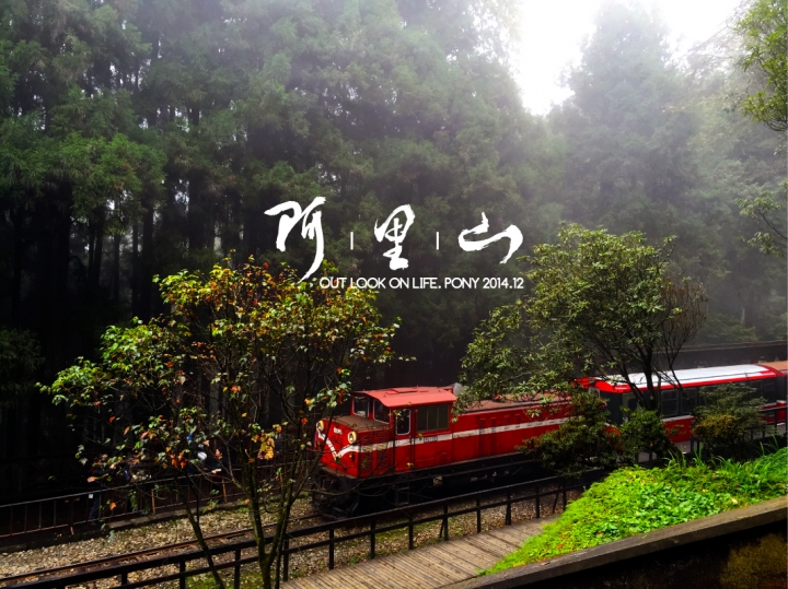 阿里山的小旅行.201412