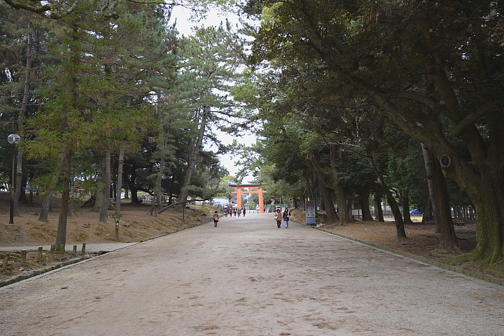 2015京阪奈之旅