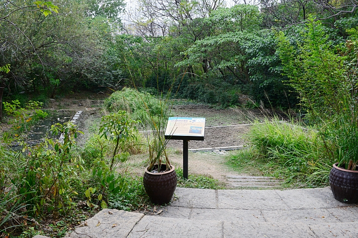 帶爸媽長庚健檢，等待時刻到旁邊鳥松濕地平靜一上午。