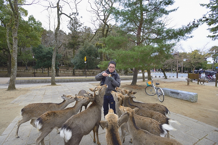 2015京阪奈之旅