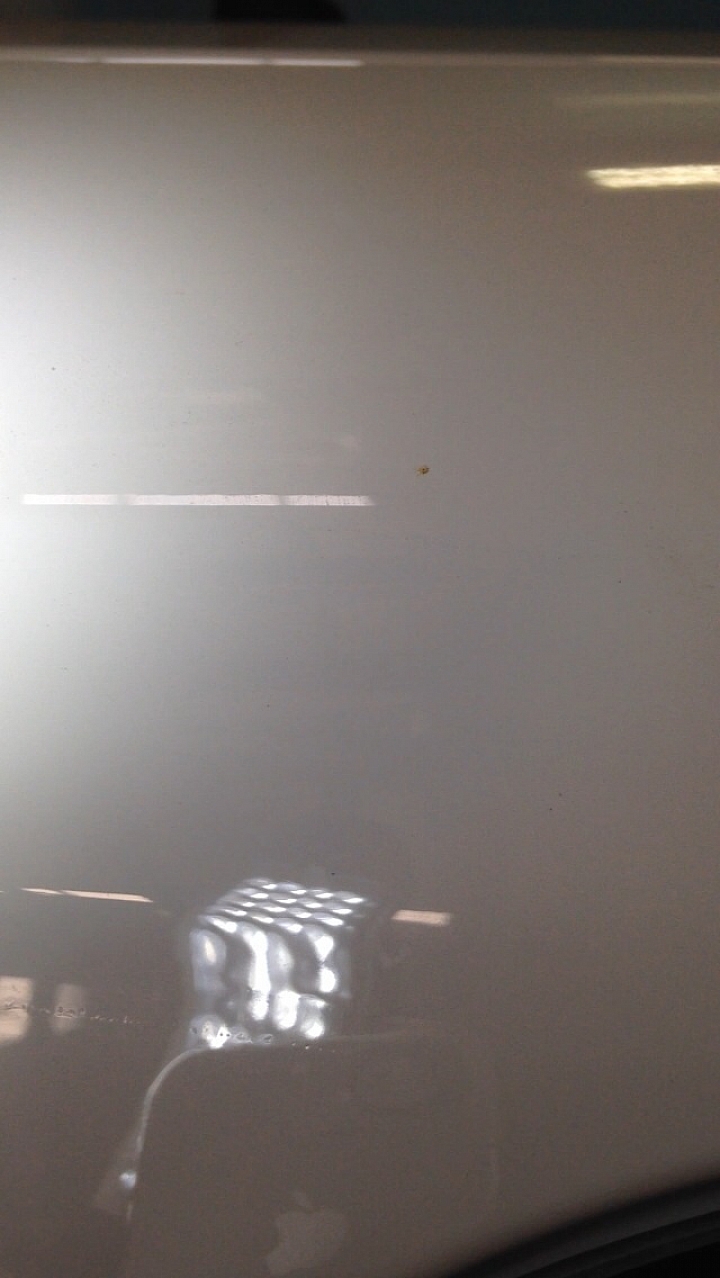小飛的開心開箱（槍），文長，事發將近兩個月的後續狀況（補上照片），台本的客服簡直XX透了