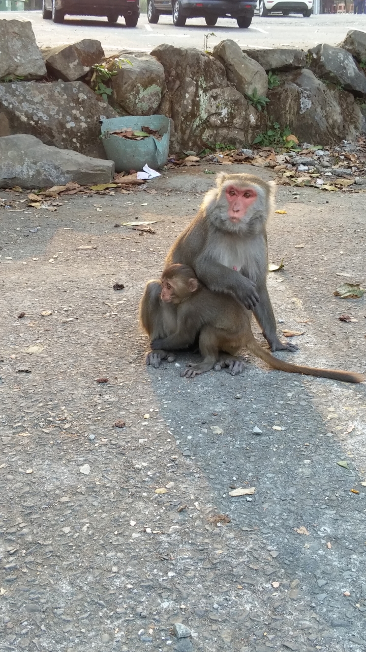 [好友默契出遊去] fiesta山路之旅