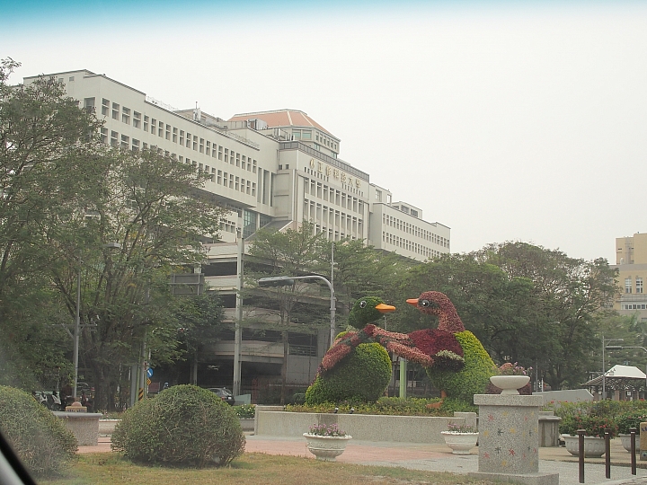 帶爸媽長庚健檢，等待時刻到旁邊鳥松濕地平靜一上午。