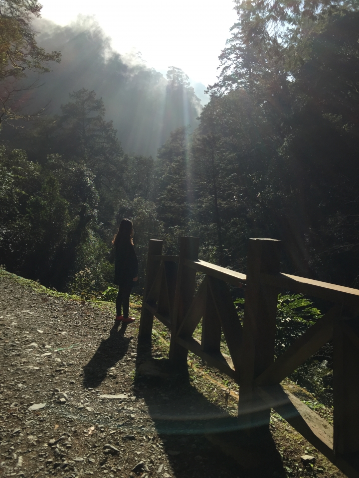 好友默契出遊去試駕體驗-Focus 1.6 拉拉山之旅