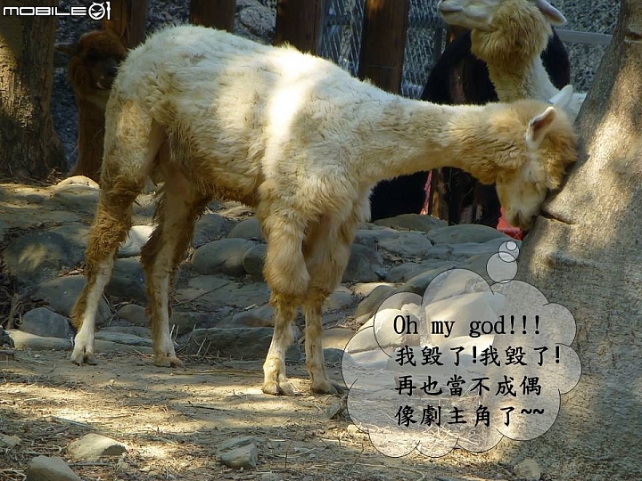 壽山動物園奇遇記