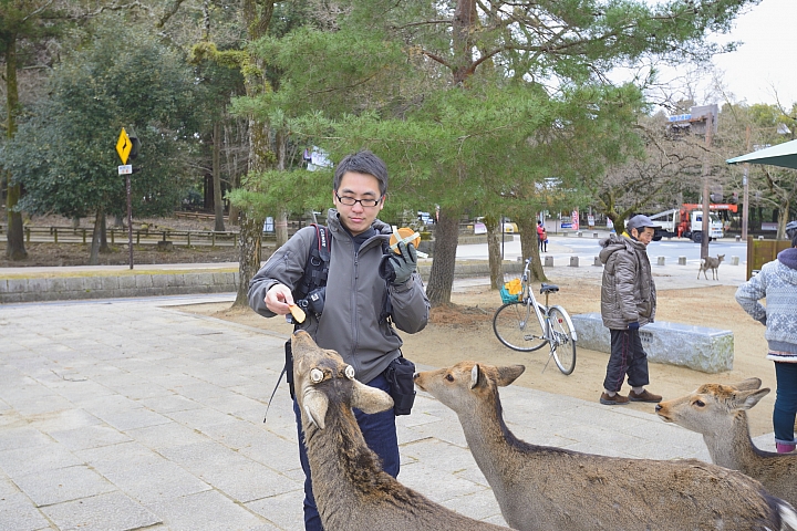 2015京阪奈之旅