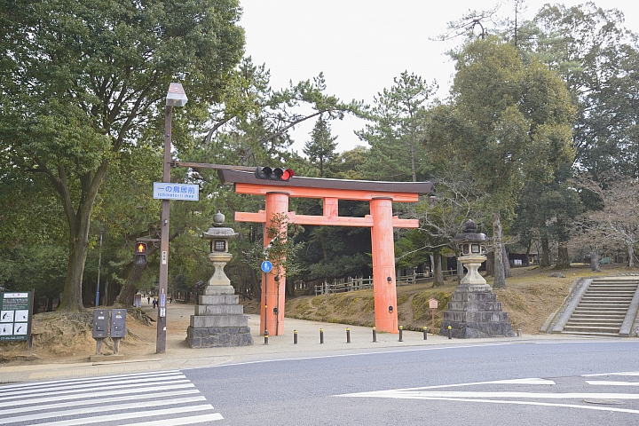 2015京阪奈之旅