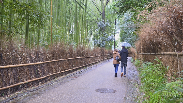 2015京阪奈之旅
