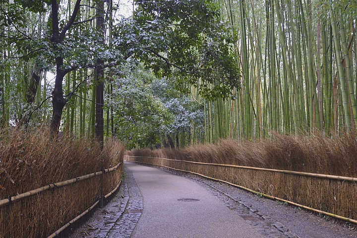 2015京阪奈之旅